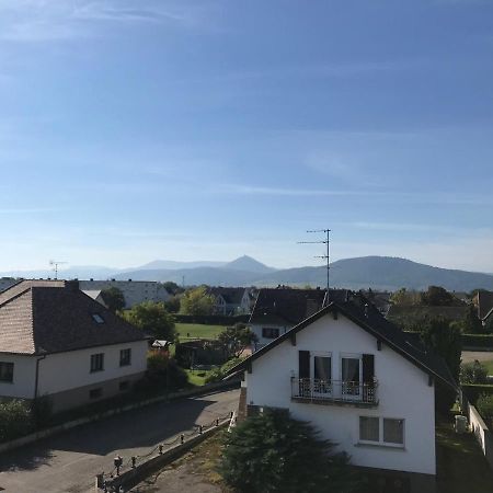 זלסטאט Appartement Chaleureux Et Lumineux Avec Vue ! Au Centre Alsace מראה חיצוני תמונה