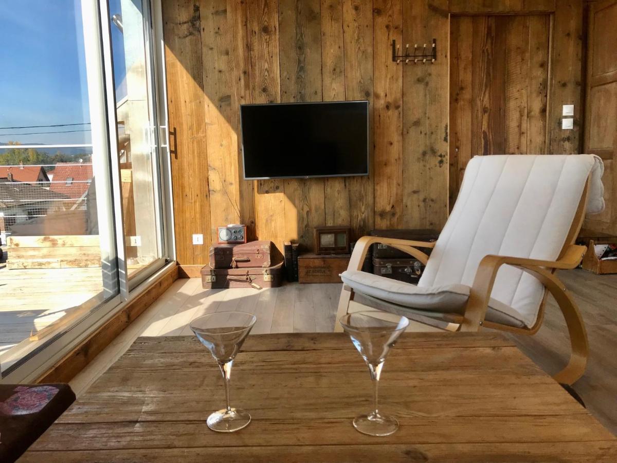 זלסטאט Appartement Chaleureux Et Lumineux Avec Vue ! Au Centre Alsace מראה חיצוני תמונה