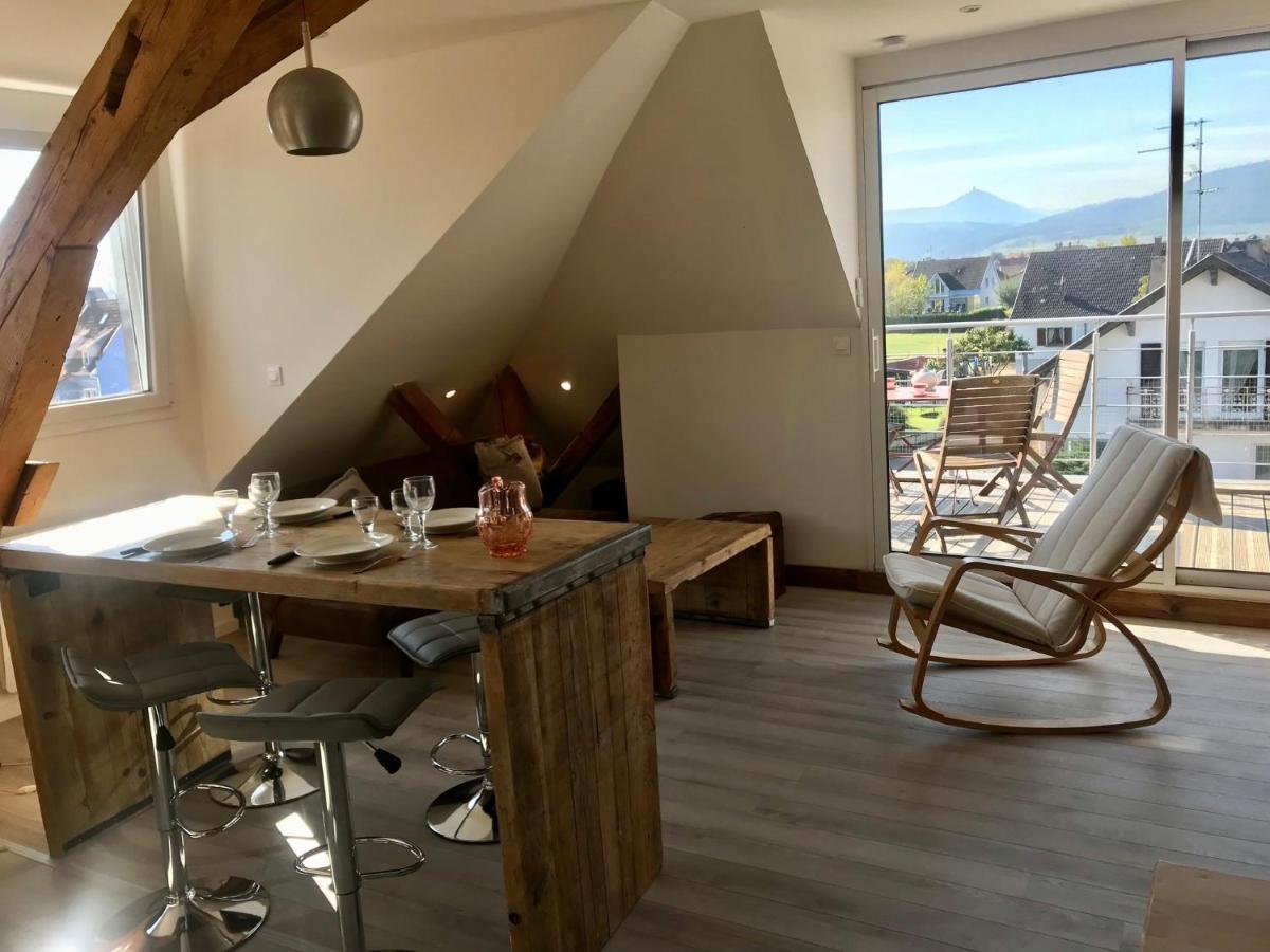 זלסטאט Appartement Chaleureux Et Lumineux Avec Vue ! Au Centre Alsace מראה חיצוני תמונה