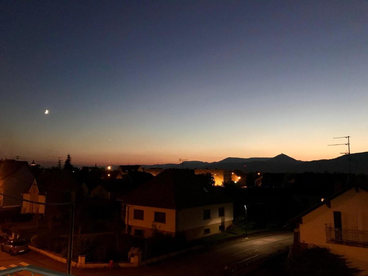 זלסטאט Appartement Chaleureux Et Lumineux Avec Vue ! Au Centre Alsace מראה חיצוני תמונה